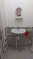 Blk 928 TAMPINES PALMSPRING (Tampines), HDB 4 Rooms #619496841